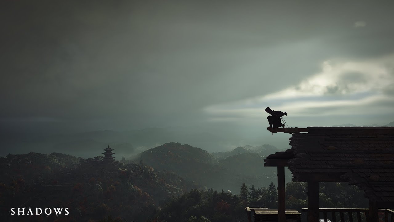 Low FPS issue in Assassin's Creed Shadows