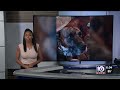Beverly Hills, Texas police chief shoots dog; family demands answers