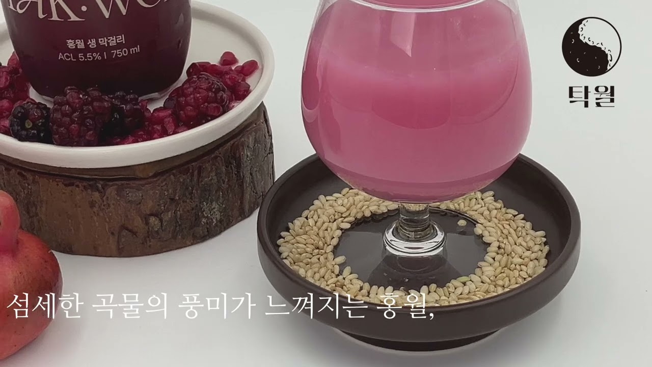 공고 동영상