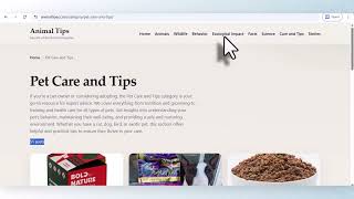 The Ultimate Free WordPress Fastest Theme Ever: Achieve Lightning Speed for SEO #WordPress #Free