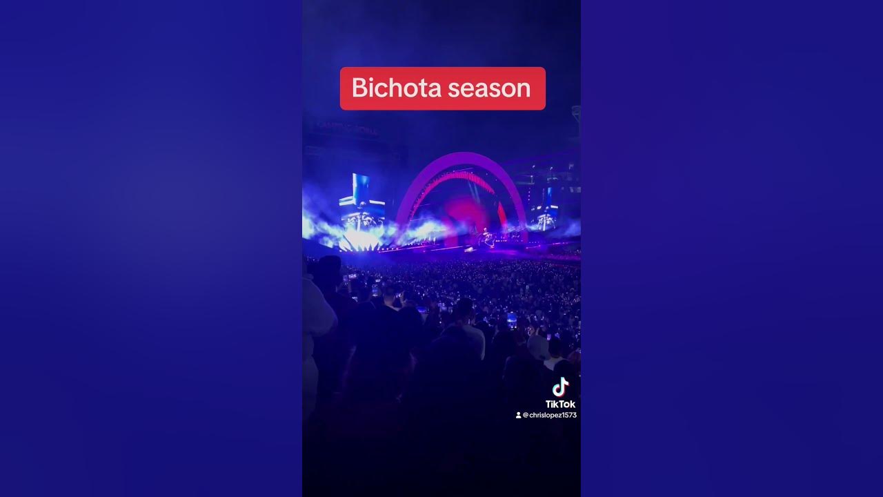 Karol G concert in Orlando Fl YouTube