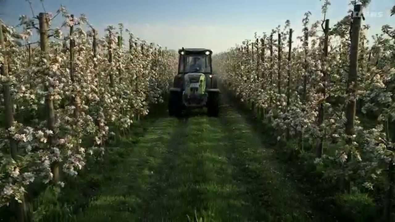 Отличная работа. Тракторы CLAAS. Jork, Германия. / 2015 / ru