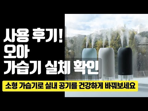 이 가습기 하나면 사무실도 차 안도 새 생명! 듀얼미스트맥스 사용 후기 대공개