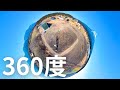 いつもと違う?!特殊な景色の秘密!【Insta360 X3】