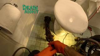 Blocked Drain 1267 Drain