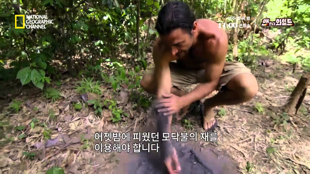 개미집을 수확해 단백질을 보충하라!