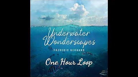 Frederic Bernard -- Underwater Wonderscapes [aka S...