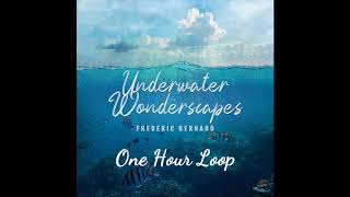 Frederic Bernard -- Underwater Wonderscapes [aka Swarm of Fish] -- One Hour Loop