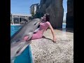 اجمل عرض دولفين 