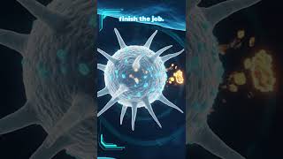 Your Blood Has a Secret Weapon Network 😱 The C3 Complement System