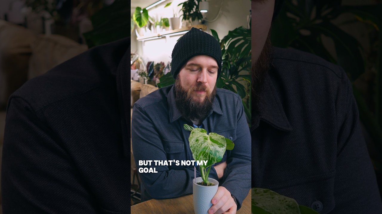 How to find good plant care advice. ￼