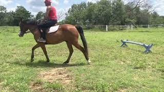 5E2483F5 F63E 4F16 9D92 0Ab3Ce395Cca