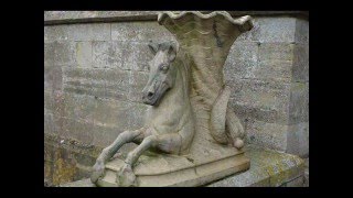 Deene Park Snow Drop