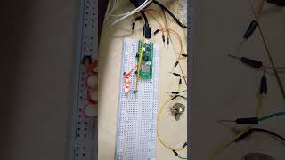 LED Control through User Input using Raspberry Pi Pico W