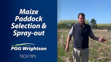 Maize Paddock Selection and Spray-out | PGG Wrightson Tech Tips