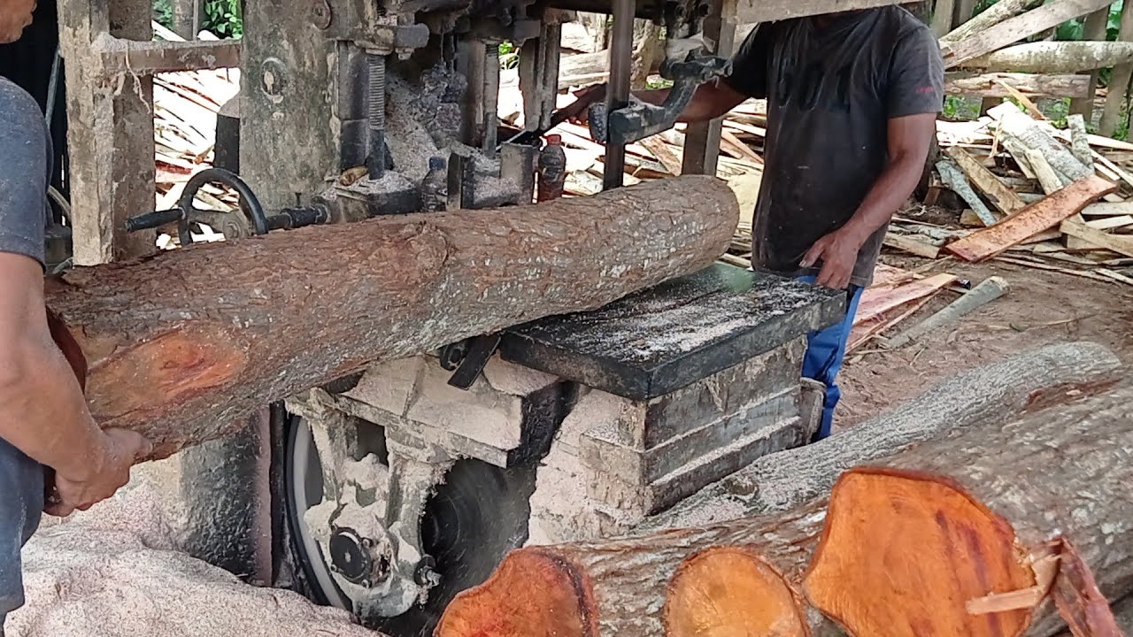 Amazing ASMR videos Asmr wood cutting YouTube