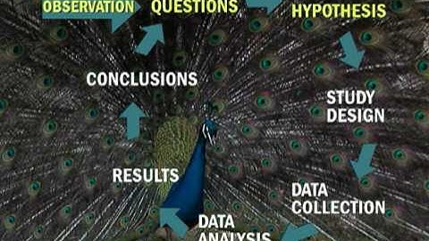 Methods of Animal Behavior Research Overview