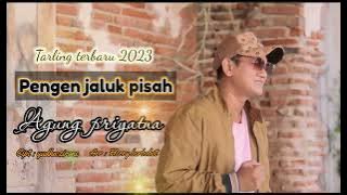 PENGEN JALUK PISAH (PJP) TARLING TERBARU 2023 - AGUNG PRIYATNA ( VIDEO MUSIC)