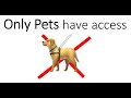 Only Pets have access to watch this video