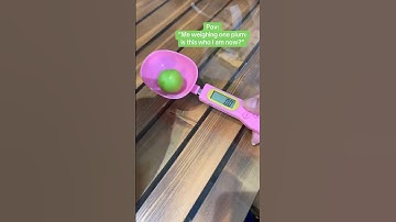 Precise, fast, and simple!Measure everything with the digital spoon #spoonscale #minispoonscale