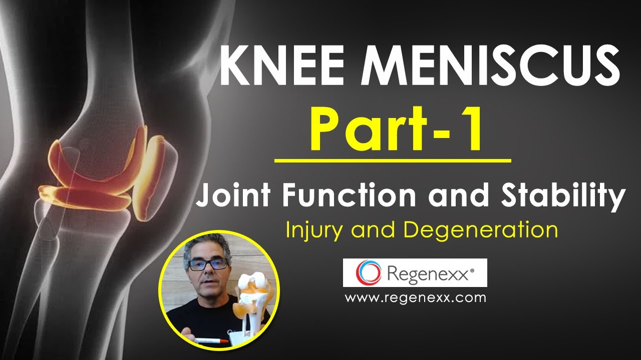 Knee Meniscus Part 1 Anatomy, Joint Function and Stability, Injury