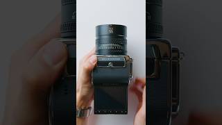 写真1枚の価値を上げてくれるカメラ。#HASSELBLAD #hasselblad_camera #hasselblad #yusukeokawa #大川優介
