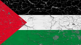 Gulf Arab countries ‘have no investment’ in the Palestinian cause