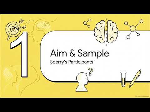 Sperry's 1968 Split Brain Study