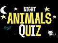 Night Animals Quiz