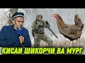 АЧОИБ КИСАИ ИБРАТАНГЕЗ ШИКОРЧИ ВА МУРГ! ДОМУЛЛО АБДУРАХИМ НАВ 2021