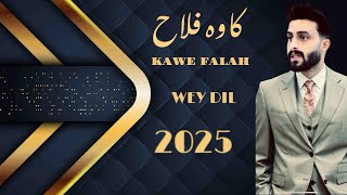 Kawe Falahکاوه فلاح Wey Dil 2025