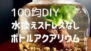 【100均DIYアクアリウム】ボトルアクアリウム！ダイソーウォーターサーバー水換え楽々
