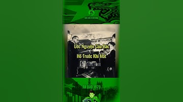 ƯỚC NGUYỆN CỦA BÁC HỒ TRƯỚC KHI MẤT#bảocóc #bacho #bảocócvlog #baococvlogboss #shorts #lichsuvietnam