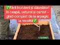 ❗️Fără buruieni și dăunători în ceapă, usturoi și cartof – ghid complet de la arpagic la recoltă✅❗️