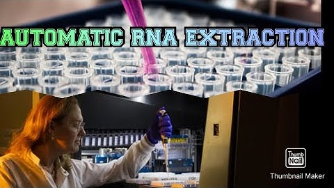 AUTOMATIC DNA/RNA EXTRACTION MACHINE