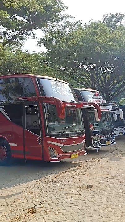 Hunting Bus Pariwisata Random Sabtu 15 Juni 2024