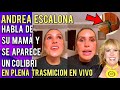 ANDREA ESCALONA HABLA DE SU MAMÁ Y APARECE UN COLIBRÍ EN PLEANA TRASMISIÓN EN VIVO !!!