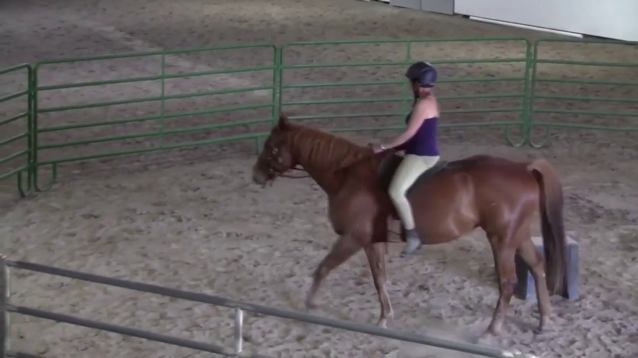 ROTH - Riding with the mind - YouTube