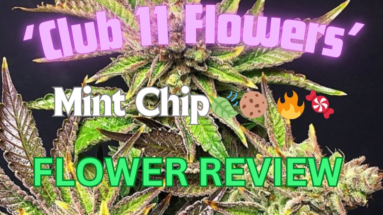 ‘Club 11 Flowers’ Ft. Mint Chip strain