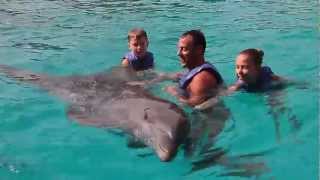 Swimming with the Dolphins - Puerto Vallarta