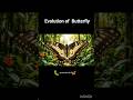 Evolution of a Butterfly ✨✨#wildlife #animals #butterfly #shorts