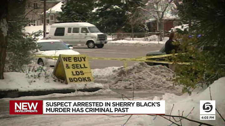 Suspect Arrested In Sherry Black's Murder Has Crim...