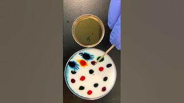 Fun in Science and Art #ShortsmasChallenge