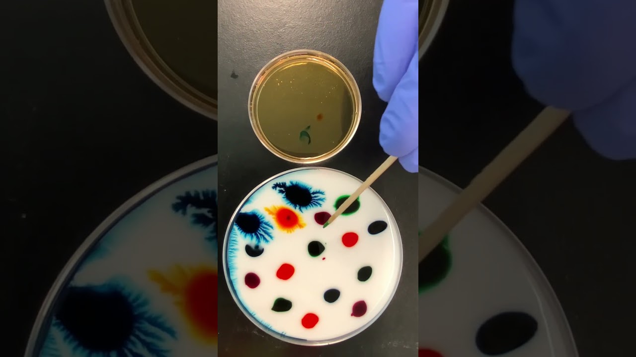 Fun in Science and Art #ShortsmasChallenge