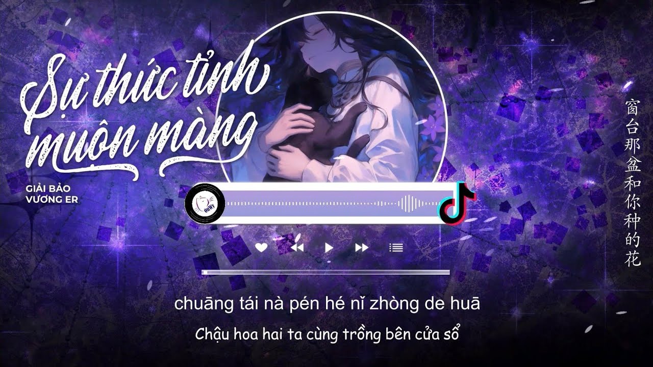 Video YouTube