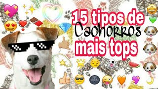 15 Tipos De Cachorros Mais Tops Primeiro Video Do C-Mundo Tumblr Dog