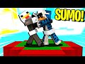 GIOCHIAMO AI MINI GIOCHI DIVERTENTI CON I FAN - MINECRAFT ITA