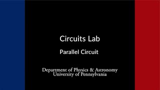 Celebrity Circuits Lab: Parallel Circuit Analysis Net Worth