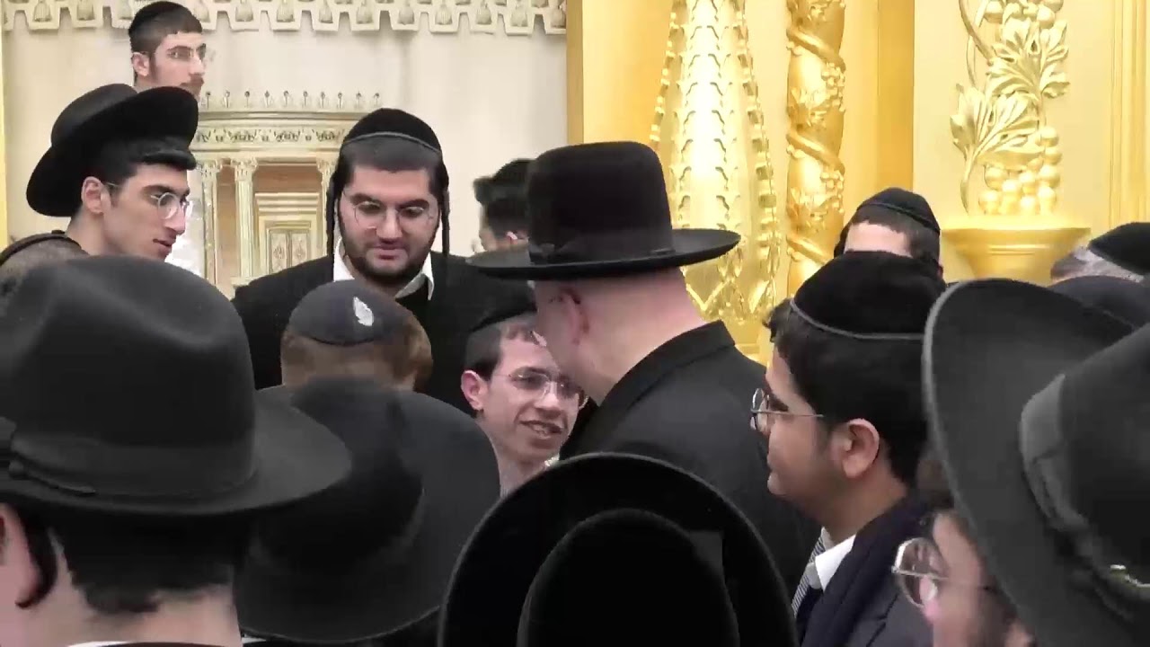 הרב ליאור גלזר פרשת כי תישא  שידור חי תשפ