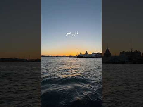 قولي يا حبيبي خالد الصيفي عمرو دياب معاك قلبي الهضبة حالات واتس رومانسي حب